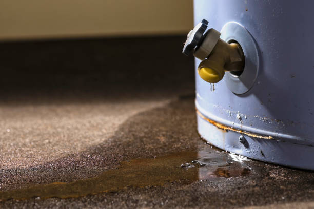 Best Local water damage restoration  in Cresson, PA