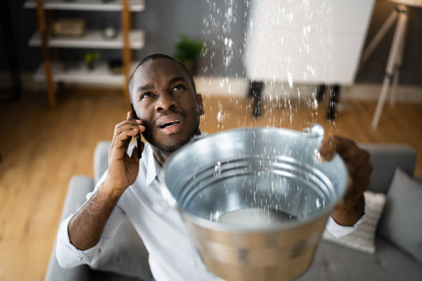 Best Residential water damage restoration  in Cresson, PA