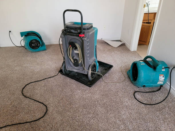Best Water damage restoration near me  in Cresson, PA