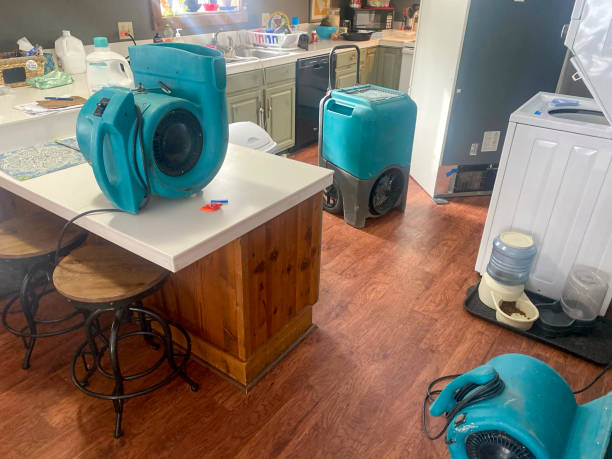 Best Water damage restoration experts  in Cresson, PA