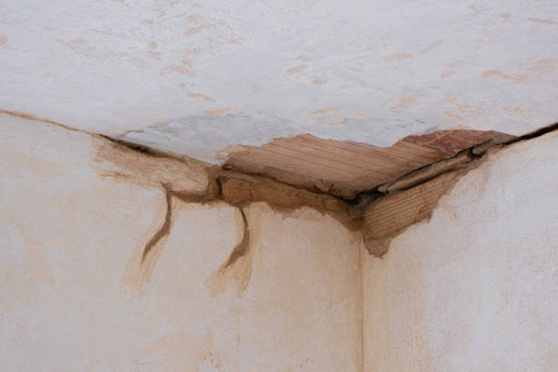 Best Sewage cleanup and water damage restoration  in Cresson, PA