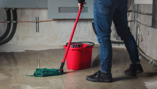 Best Professional water damage repair  in Cresson, PA
