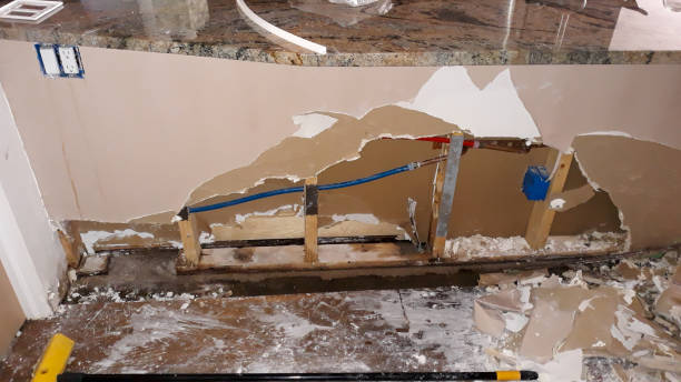 Best Flood restoration services  in Cresson, PA
