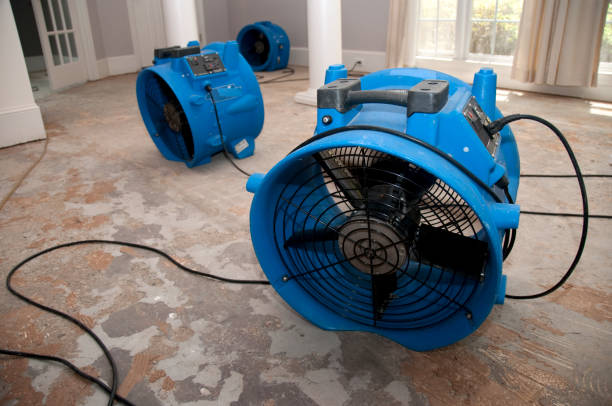Best Carpet water damage restoration  in Cresson, PA
