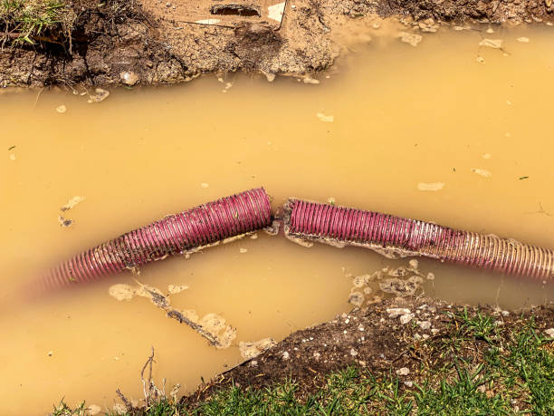 Best Mold removal after water damage  in Cresson, PA
