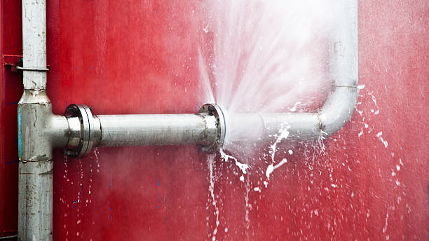 Best Carpet water damage restoration  in Cresson, PA