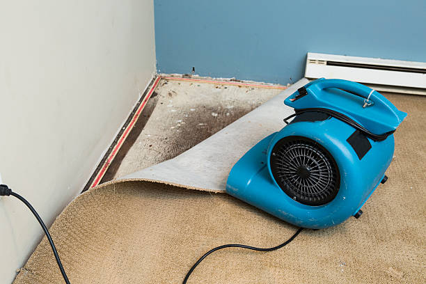 Water damage restoration experts in Cresson, PA